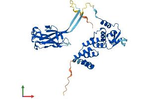 AlphaFold protein structure predicition of Human Recombinant SPOP Protein, UniprotID O43791