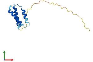 AlphaFold protein structure predicition of Human Recombinant SDHAF1 Protein, UniprotID A6NFY7
