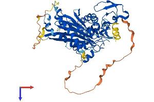AlphaFold protein structure predicition of Human Recombinant PPM1J Protein, UniprotID Q5JR12