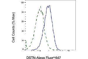 Validation of DSTN knockdown using flow cytometry. (Destrin anticorps)