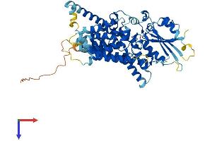 AlphaFold protein structure predicition of Human Recombinant PIGZ Protein, UniprotID Q86VD9