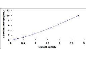 serine/arginine-Rich Splicing Factor 4 (SRSF4) ELISA Kit