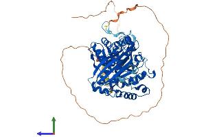 AlphaFold protein structure predicition of Mouse Recombinant Mocs1 Protein, UniprotID Q5RKZ7