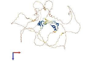 AlphaFold protein structure predicition of Mouse Recombinant Gata6 Protein, UniprotID Q61169