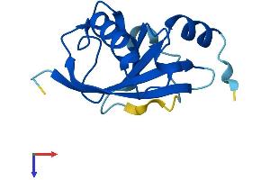 AlphaFold protein structure predicition of Human Recombinant C2orf76 Protein, UniprotID Q3KRA6