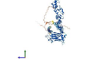 AlphaFold protein structure predicition of Mouse Recombinant Traf6 Protein, UniprotID P70196