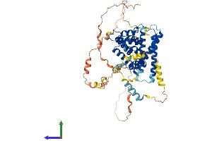 AlphaFold protein structure predicition of Human Recombinant TOM1 Protein, UniprotID O60784