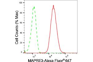 Flow cytometric analysis of MAPRE3 expression in HepG2 cells using MAPRE3 antibody (ABIN7799412), 1:2,000). (Recombinant MAPRE3 anticorps)