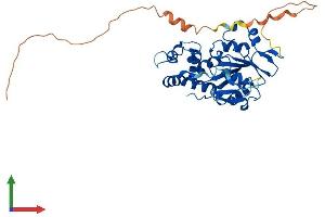 AlphaFold protein structure predicition of Human Recombinant HS3ST6 Protein, UniprotID Q96QI5
