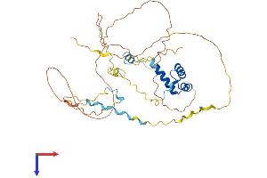 AlphaFold protein structure predicition of Mouse Recombinant En1 Protein, UniprotID P09065