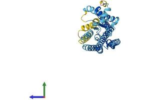 AlphaFold protein structure predicition of Human Recombinant OR56B4 Protein, UniprotID Q8NH76