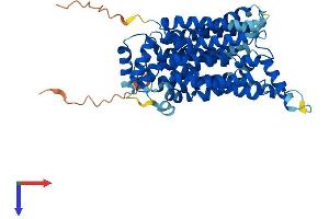 AlphaFold protein structure predicition of Human Recombinant SLC2A4 Protein, UniprotID P14672