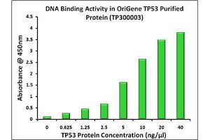 Bioactivity measured with Activity Assay