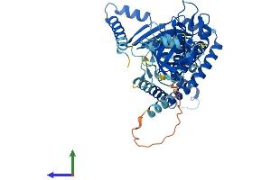 AlphaFold protein structure predicition of Mouse Recombinant Mbtps2 Protein, UniprotID Q8CHX6