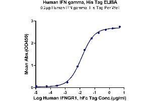 Immobilized Human IFN gamma, His Tag at 2 μg/mL (100 μL/well) on the plate.