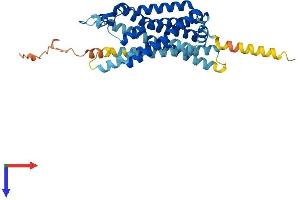 AlphaFold protein structure predicition of Human Recombinant GHSR Protein, UniprotID Q92847