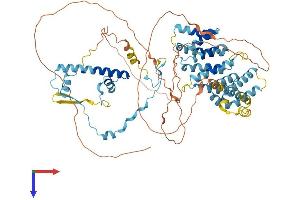 AlphaFold protein structure predicition of Mouse Recombinant Taf6 Protein, UniprotID Q62311