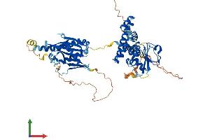 AlphaFold protein structure predicition of Human Recombinant FLCN Protein, UniprotID Q8NFG4