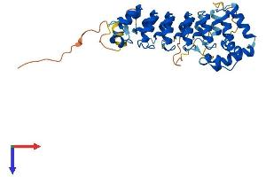AlphaFold protein structure predicition of Human Recombinant ASB1 Protein, UniprotID Q9Y576