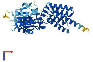 AlphaFold protein structure predicition of Mouse Recombinant Rfc3 Protein, UniprotID Q8R323