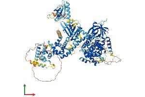 AlphaFold protein structure predicition of Human Recombinant TBC1D8 Protein, UniprotID O95759
