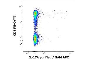 Flow cytometry multicolor intracellular staining of PHA stimulated and Brefeldin A treated peripheral whole blood showing lymphocytes stained using anti-human CD4 (MEM-241) PE-Cy™7 antibody (4 μL reagent / 100 μL of peripheral whole blood) and anti-human IL-17A (9F9) purified antibody (concentration in sample 0,5 μg/mL, GAM APC).