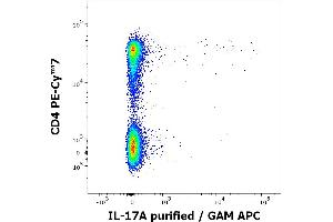 Flow cytometry multicolor intracellular staining of PHA stimulated and Brefeldin A treated peripheral whole blood showing lymphocytes stained using anti-human CD4 (MEM-241) PE-Cy™7 antibody (4 μL reagent / 100 μL of peripheral whole blood) and anti-human IL-17A (9F9) purified antibody (concentration in sample 0,5 μg/mL, GAM APC). (Interleukin 17a anticorps)