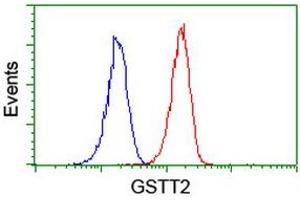 Image no. 10 for anti-Glutathione S-Transferase theta 2 (GSTT2) antibody (ABIN1498553) (GSTT2 anticorps)
