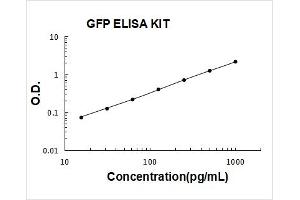 Green Fluorescent Protein (GFP) ELISA Kit