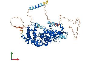 AlphaFold protein structure predicition of Human Recombinant CHST15 Protein, UniprotID Q7LFX5