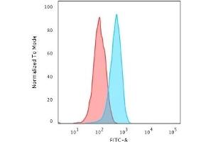 Flow Cytometric Analysis of PFA fixed HeLa cells using Cytochrome C Recombinant Rabbit Monoclonal Antibody (CYCS/3128R) followed by Goat anti-rabbit IgG-CF488 (Blue), Goat anti-mouse IgG-CF488 is Control (Red). (Recombinant Cytochrome C anticorps)