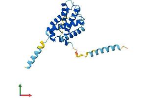 AlphaFold protein structure predicition of Human Recombinant BOK Protein, UniprotID Q9UMX3