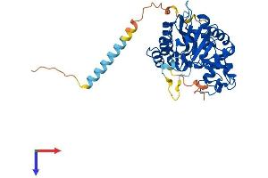 AlphaFold protein structure predicition of Mouse Recombinant B3gnt6 Protein, UniprotID Q3USF0