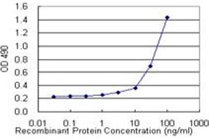 Sandwich ELISA detection sensitivity ranging from 10 ng/mL to 100 ng/mL. (GP1BA (Humain) Matched Antibody Pair)