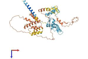 AlphaFold protein structure predicition of Human Recombinant ZBTB14 Protein, UniprotID O43829