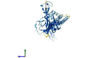 AlphaFold protein structure predicition of Human Recombinant TRIM68 Protein, UniprotID Q6AZZ1
