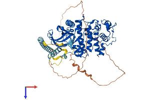 AlphaFold protein structure predicition of Mouse Recombinant Srpk3 Protein, UniprotID Q9Z0G2