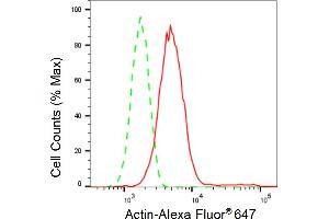 Flow cytometric analysis of Actin expression in HT- cells using Actin antibody (ABIN7797459), 1:2,000). (Recombinant Actin anticorps)