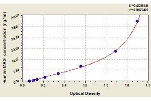 Typical standard curve (MAG Kit ELISA)