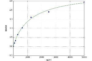 Myosin Heavy Chain 2, Skeletal Muscle, Adult (MYH2) ELISA Kit
