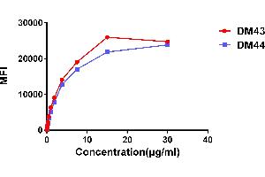 Affinity ranking of different Rabbit anti-CD48 mAb clones by titration of different concentration onto H929 cells.