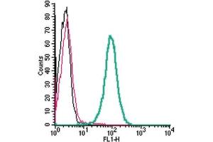 Cell surface detection of GPR97 by indirect flow cytometry in live intact human  monocytic leukemia cell line: + goat-anti-rabbit-FITC. (GPR97 anticorps  (Extracellular))