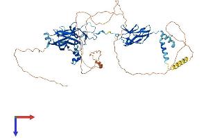 AlphaFold protein structure predicition of Mouse Recombinant Ebf4 Protein, UniprotID Q8K4J2