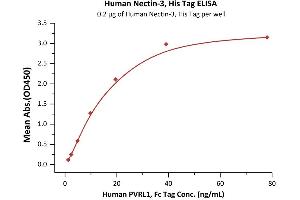 Immobilized Human Nectin-3, His Tag (ABIN4949136,ABIN4949137) at 2 μg/mL (100 μL/well) can bind Human PVRL1, Fc Tag with a linear range of 2-20 ng/mL (QC tested).