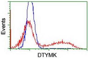 Flow Cytometry (FACS) image for anti-Deoxythymidylate Kinase (Thymidylate Kinase) (DTYMK) antibody (ABIN1497920) (DTYMK anticorps)