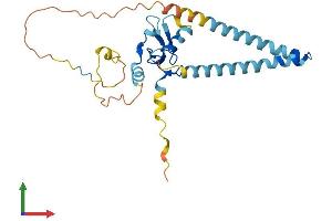 AlphaFold protein structure predicition of Human Recombinant RNF182 Protein, UniprotID Q8N6D2