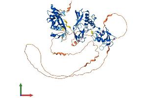 AlphaFold protein structure predicition of Mouse Recombinant Dtx2 Protein, UniprotID Q8R3P2