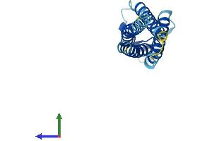 AlphaFold protein structure predicition of Mouse Recombinant Cldnd2 Protein, UniprotID Q9D9H2 (CLDND2 Protein (AA 1-167) (His tag))