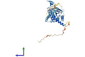 AlphaFold protein structure predicition of Human Recombinant SEPTIN12 Protein, UniprotID Q8IYM1
