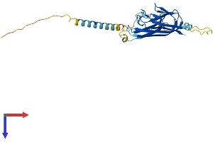 AlphaFold protein structure predicition of Mouse Recombinant Tnfsf12 Protein, UniprotID O54907